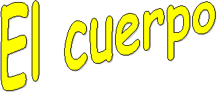 El cuerpo